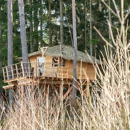 מלון Osecna Treehouse U Rybnika מראה חיצוני תמונה